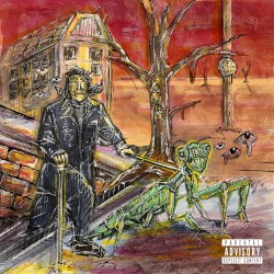 Jacinto’s Praying Mantis