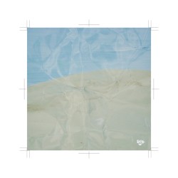 ignition / blooming days