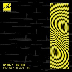 Only You / The Secret Pub