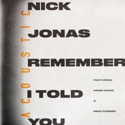 Remember I Told You (acoustic)