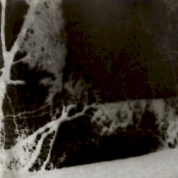 The Haunted Froglands