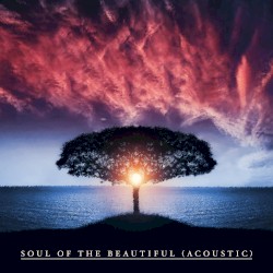 Soul of the Beautiful (Acoustic)