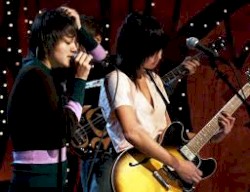 MTV - Discover & Download