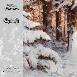 Falling Leaves & Fading Light