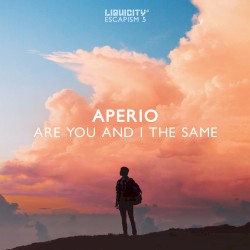 Are You and I the Same