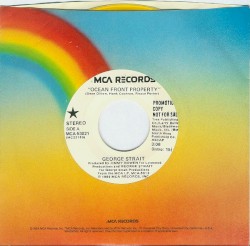 Ocean Front Property