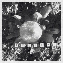 28/in Love, We Sing Songs