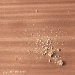 Crumbs