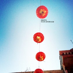 The Shy Lanterns Glow