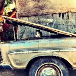 Neo Spiritual (2025 Redux)