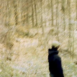 Trial and Error: A Series of Drafts and Demos From 2015