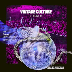 Vintage Culture & Friends, Vol. 5
