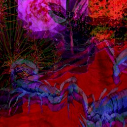 Untitled 1991, Vol. 2