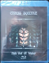 Fish Out of Water