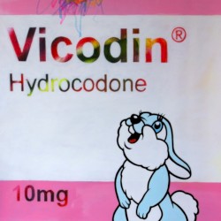 Vicodin Hydrocodone