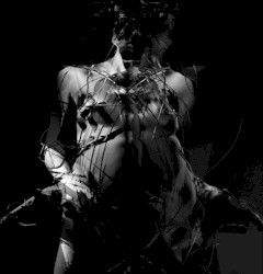 Bliss Torn From Emptiness