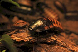 Exhausting Drownings