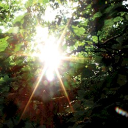 Summer Light
