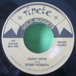 Harry Hippie / Looking For A Love