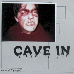 Are We Still Fixable?