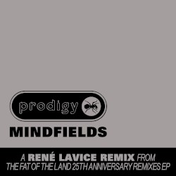 Mindfields (René LaVice remix)