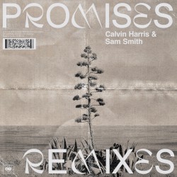 Promises (Remixes)