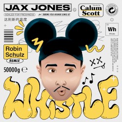 Whistle (Robin Schulz remix)