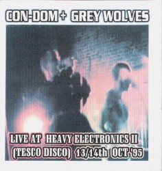 Live at Heavy Electronics II