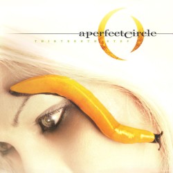 Thirteenth Step