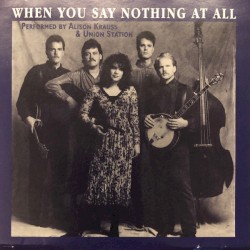 When You Say Nothing At All
