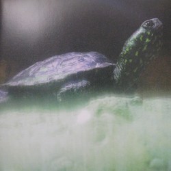 Loops of Infinity (A Rave Loveletter)