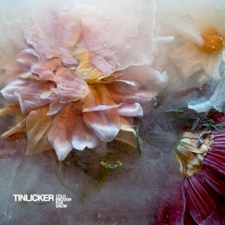 Cold Enough for Snow (extended version)