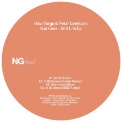 In Da Groove (Original Mix)
