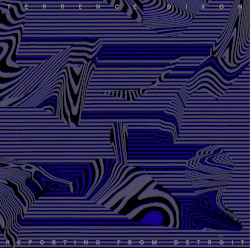 Reporting From Detroit