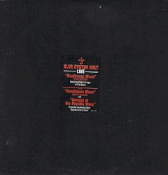 Blue Öyster Cult Live