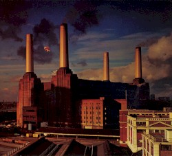 Animals