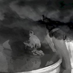 Under the Hollow Moon