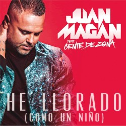He llorado (Como un niño)