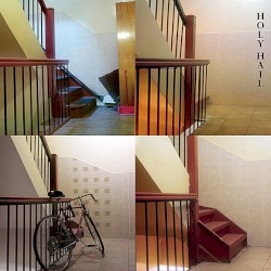 The Dying (After) Party