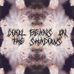 Cool Beans In The Shadows