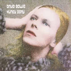 Hunky Dory