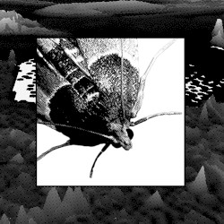 Mothtime