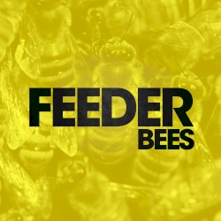 Bees (Alt. mix)