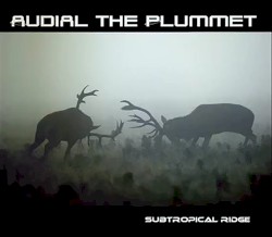 Subtropical Ridge