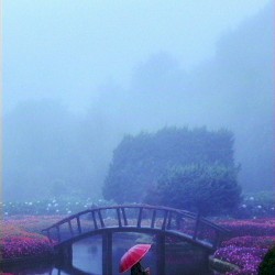 Petrichor Prefecture