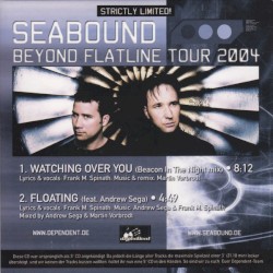 Beyond Flatline Tour 2004