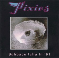 Subbacultcha in '91
