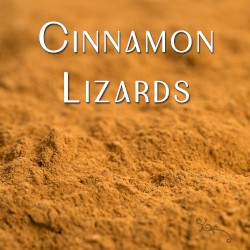 Cinnamon Lizards