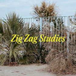 Zig Zag Studies