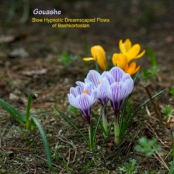 Slow Hypnotic Dreamscaped Flows of Bashkortostan